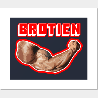 BROTIEN Posters and Art